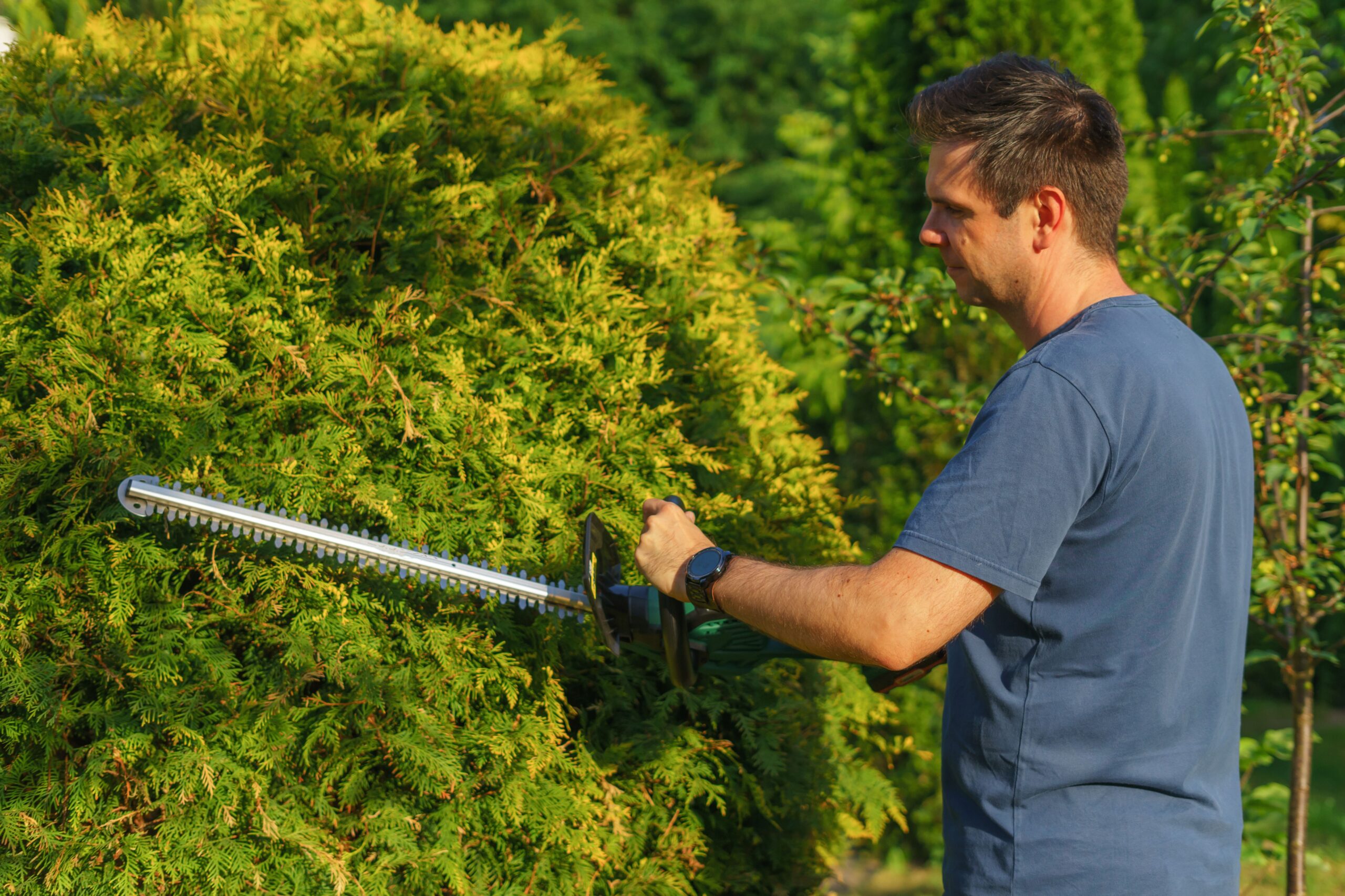 Vale a Pena Comprar Ferramentas Elétricas para Jardim? Guia Completo para Fazer a Escolha Certa
